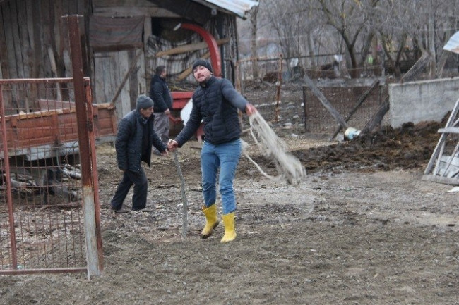 Boğa çılgına döndü 5 yaralı Haber3