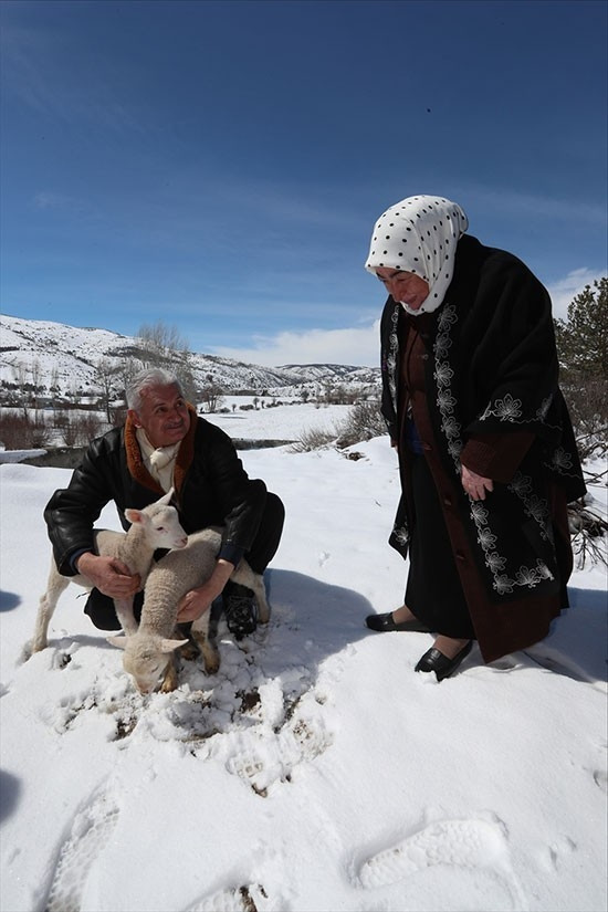 Başbakan'a hediye ettiler, uçakta besledi