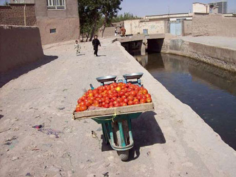 Karelerle Afganistan