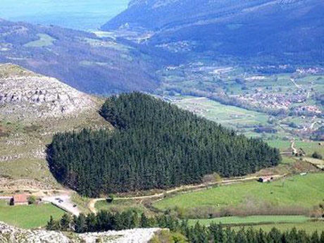 İşte Google Earthdeki Kalpler