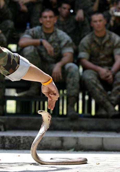 Askerlerin yılanla dansı