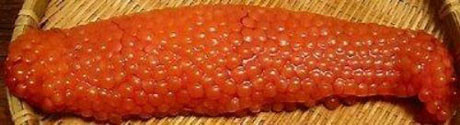 Japonlar sperm yiyor !