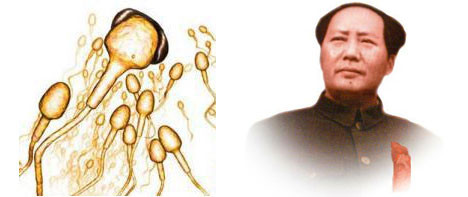Bu spermler ortalığı karıştırdı !