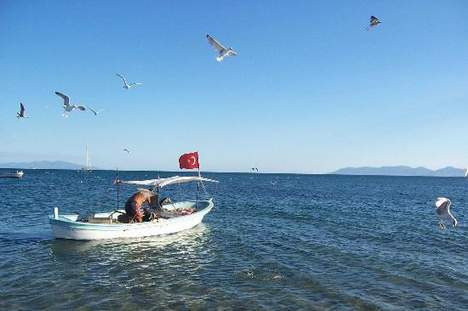 Egede bir cennet şeridi
