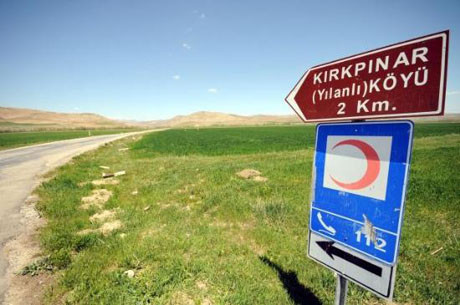 Bu yılanlar şifalıymış..