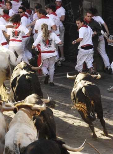 San Fermin Festivali başladı