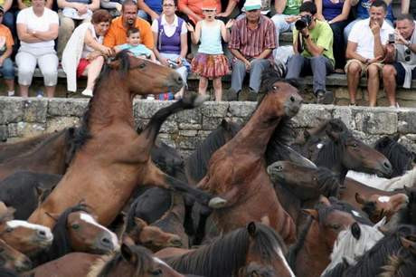 ‘Rapa Das Beestas’ festivali