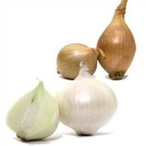 İşte en sağlıklı gıdalar