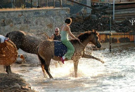 Atlarıyla birlikte yüzdü