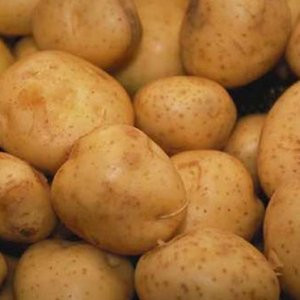 İthal patates dönemi başlıyor