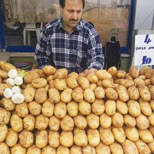 Bakanlar patates fiyatında anlaşamadı