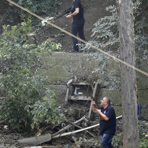 Kaçan kaplan dehşet saçtı