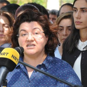 Emine Ayna: Öz yönetim ilanları içindeyiz