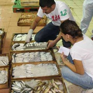 2 bin 300 kilo balığa el konuldu