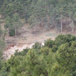 Bu bir ilk ! Mahkeme direkt iptal etti