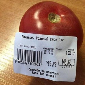 Rusya'da domatesin tanesi 6 TL'ye satılıyor
