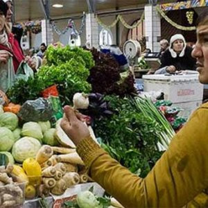 Rusya narenciyeyi Suriye'den alıyor