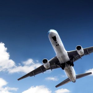 THY pilotu: ''Martıya çarptık''
