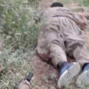 PKK'nın Karakoçan sorumlusu öldürüldü