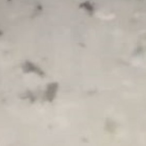 Kuzey Irak'ta uçaktan hamam böcekleri atıldı