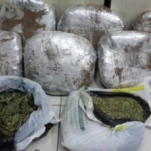 İzmir'de dev uyuşturucu operasyonu