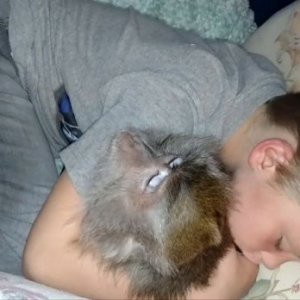 Çocuk ile maymunun uyku keyfi