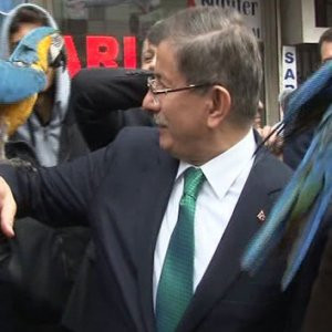 Ahmet Davutoğlu'nun papağan ile zor anları