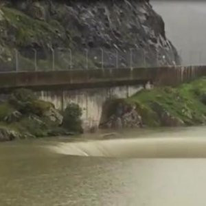 Görenleri hayrete düşüren görüntü