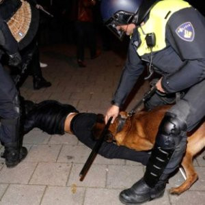 ''Hollanda polisi bize köpeklerle saldırdı''