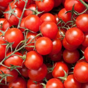 Rusya domatese ambargoyu kaldırmayacağını açıkladı