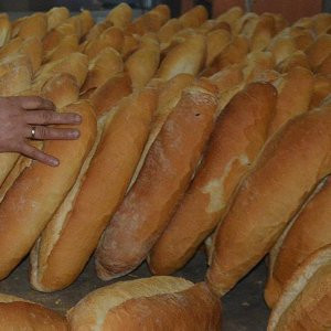 GDO'lu ekmekle ilgili tahlil sonuçları bugün açıklanacak
