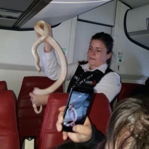 Hostes kabininde öyle bir şey yakaladı ki...