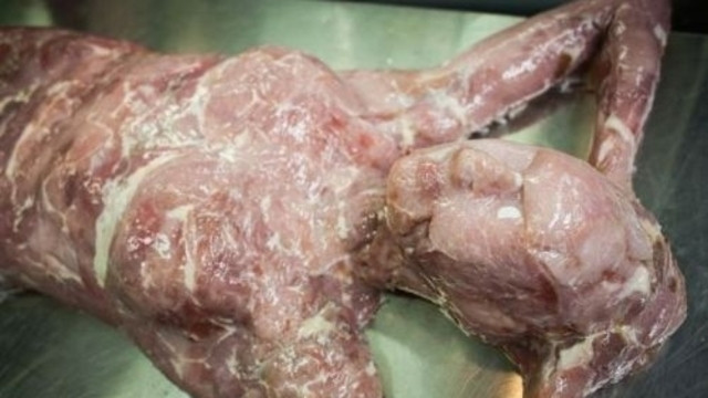İnsan eti satan ilk restoran açıldı !