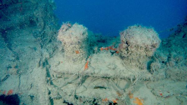 Birinci Dünya Savaşı'ndan kalma savaş gemileri bulundu - Resim: 4