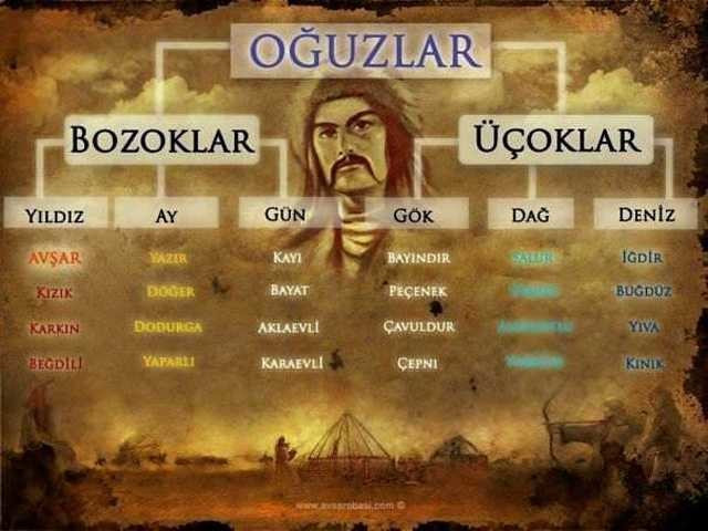 Türkler'in soy ağacı