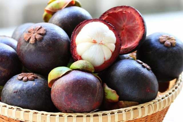 Mangosteen meyvesinin mucizevi faydaları