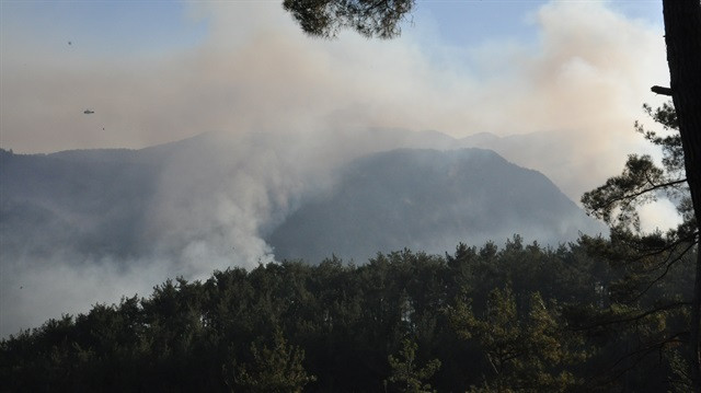 Amanos kül oldu; tam 30 hektarlık orman yandı !
