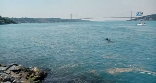 İstanbul Boğazı'ndaki ölüm kalım savaşı kamerada