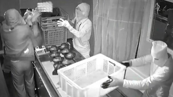 Altınları ekmek kasalarına doldurup kaçtılar