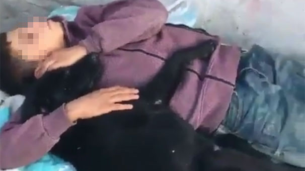 Köpekle uyuyan çocuk görenleri duygulandırdı