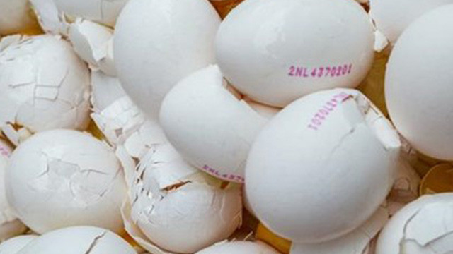 Almanya'da zehirli yumurta skandalı