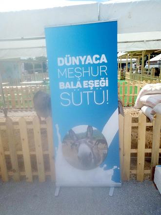 Melih Gökçek'in eşekli afişleri Balâlıları kızdırdı