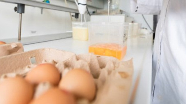 Fransa'da ilaçlı yumurta skandalı