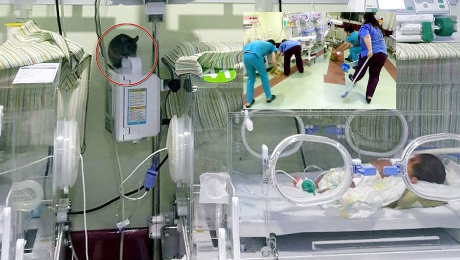 Hastanedeki görüntüler sosyal medyayı salladı