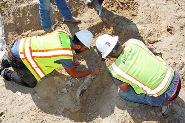 6 ton ağırlığında ve 9 metre yükseklikte dinozor fosili bulundu