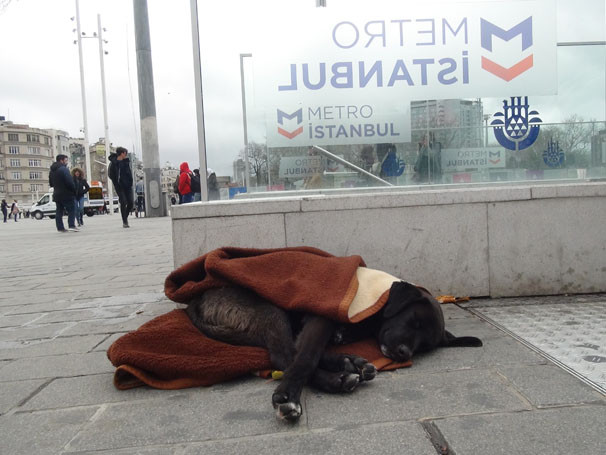 Taksim Metrosu'nda duygulandıran görüntü