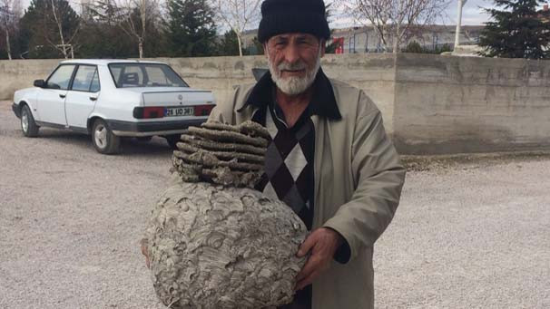 Eskişehir'de evinin çatısında buldu
