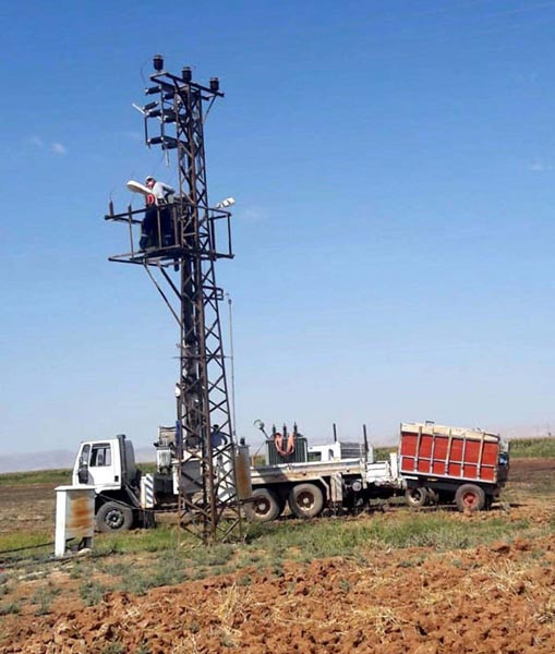 Mardin'de ele geçirildi... Büyüklükleri şaşırttı !