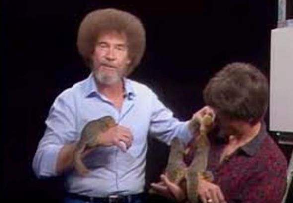 Bob Ross'un mesleği duyanları şaşırtıyor