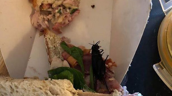 Markette satılan sandviçten hamamböceği çıktı